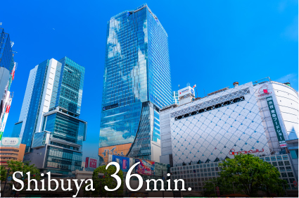 SHIBUYA 36min.