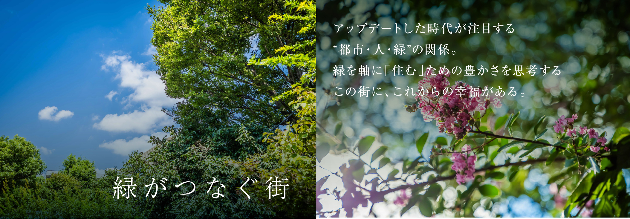 緑がつなぐ街