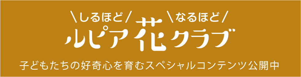 植栽計画 ルピア花クラブ
