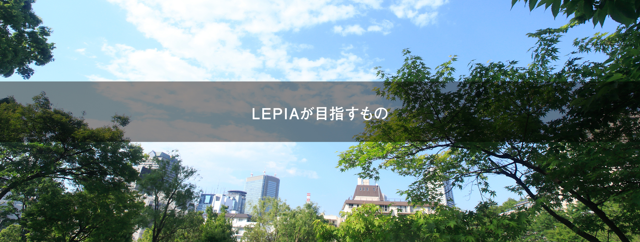 LEPIAが目指すもの