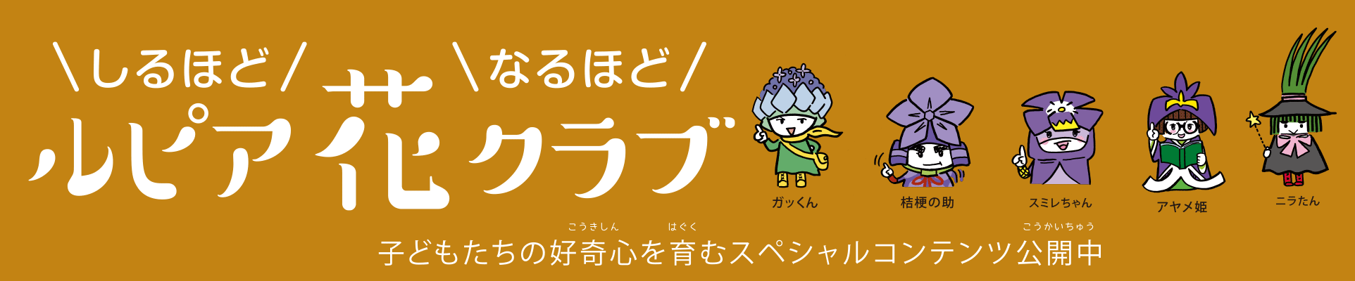 植栽計画 ルピア花クラブ