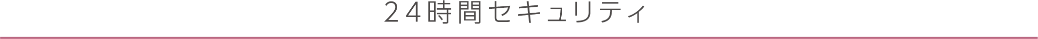 24時間セキュリティ