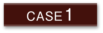 case1