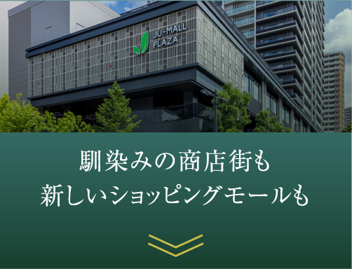 馴染みの商店街も新しいショッピングモールも