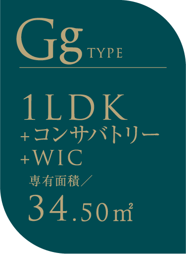 Ggtype