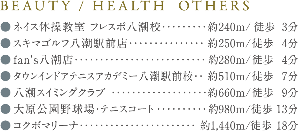 BEAUTY / HEALTH  OTHERS