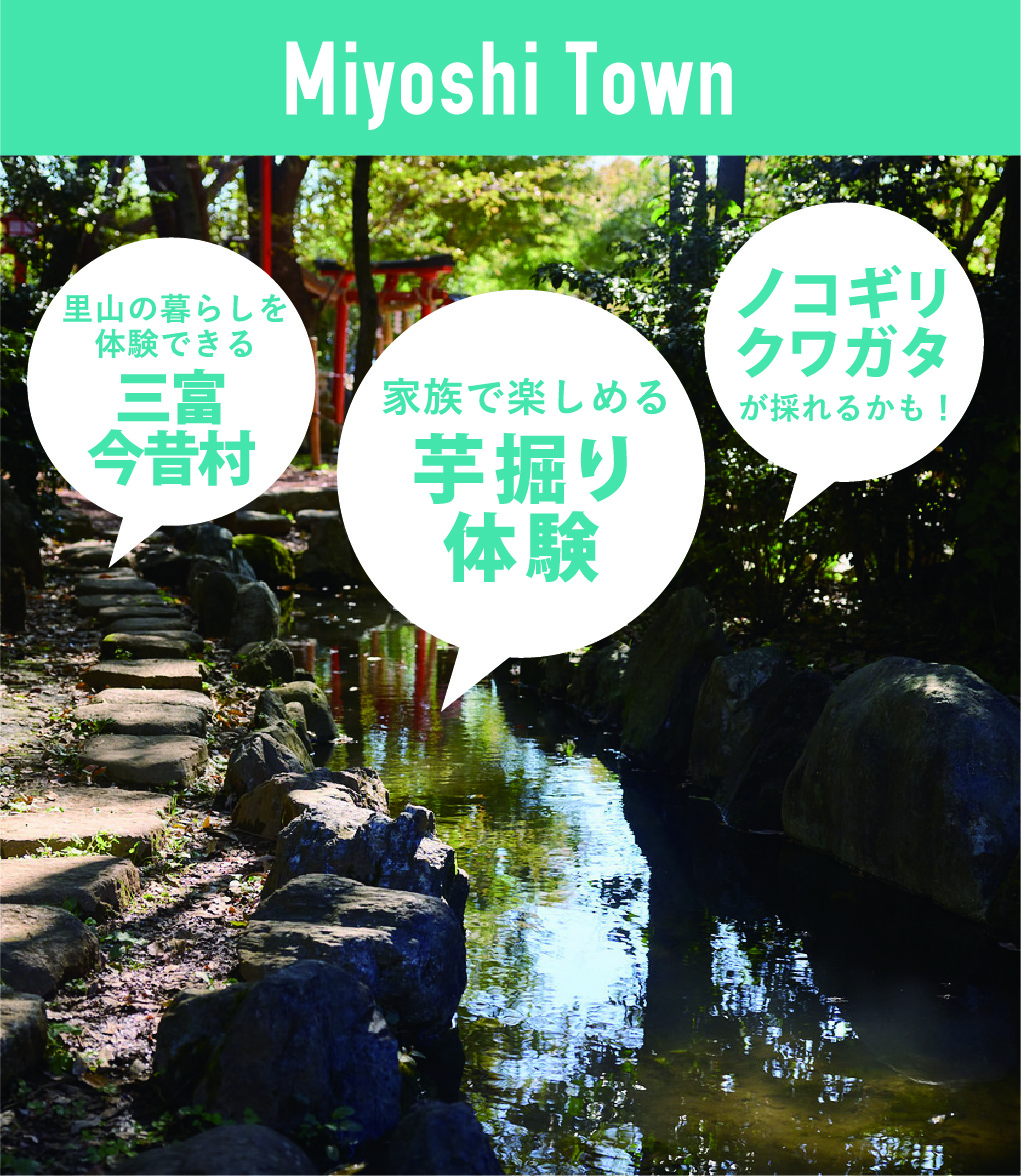 Miyoshi Town