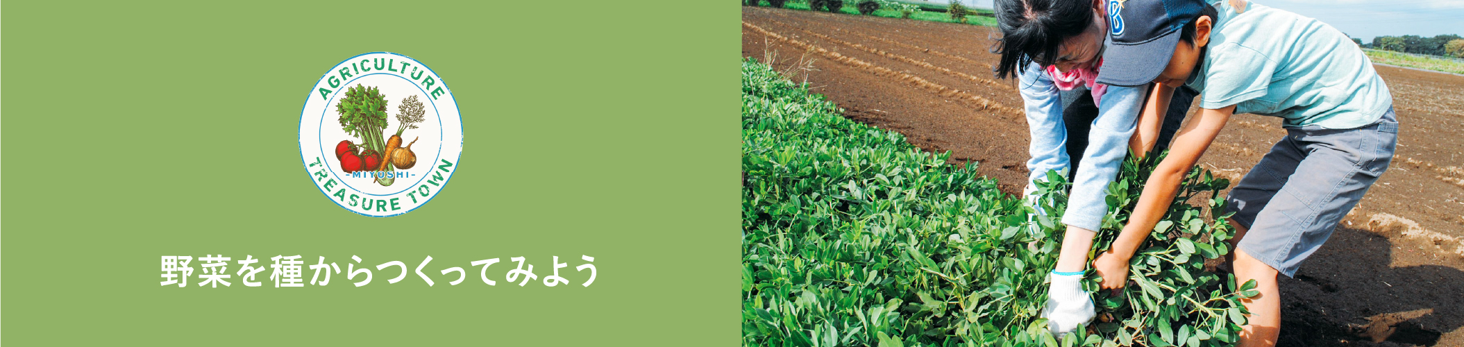 野菜を種からつくってみよう