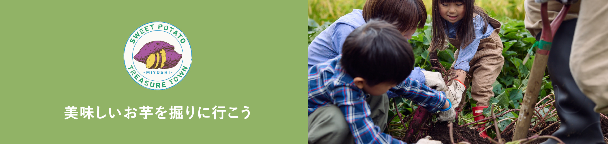 美味しいお芋を掘りに行こう