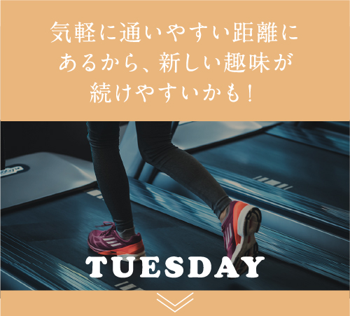 Tuesday