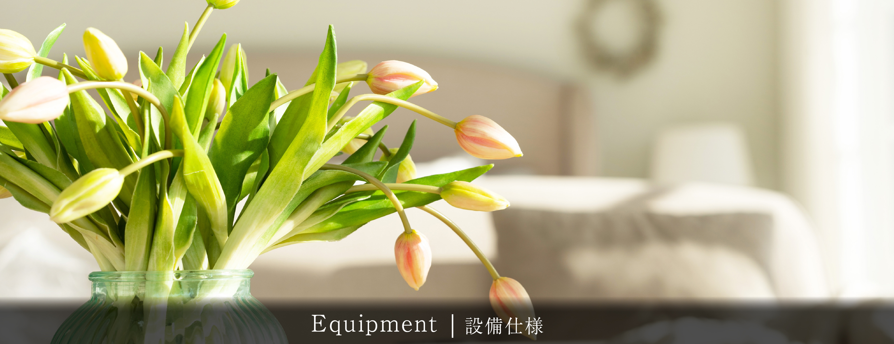 equipment