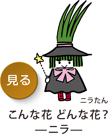 こんな花 どんな花？ -ニラ-